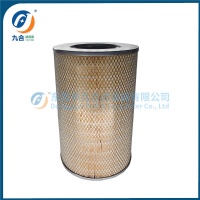 Air Filter  72162543