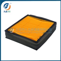 Air Filter F08010252