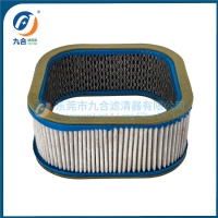 Air Filter 29437-01