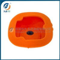 Air Filter 77206015000