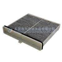 Cabin Filter  BDGF-61-J6X