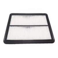 HONDA Air Filter 17210-Z6M-010