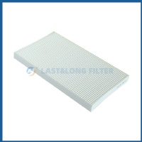 Cabin Filter 2506656C1