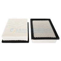 Cabin Filter 4855433