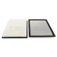 Cabin Filter 4855435