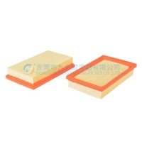 Air Filter 12850394