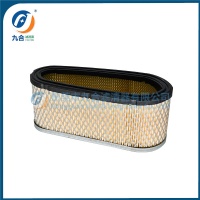 Air Filter 493909